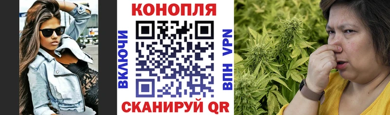 Бошки марихуана MAZAR  Купить закладки  Балашов 